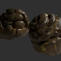 Two Textured Brown Round Natural Objects With Rough Surface And Organic Shape 3d model