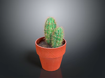 Green Cactus Plant In Orange Textured Pot Against Dark Background 3d model