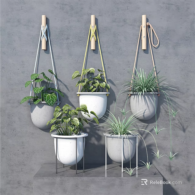 Hanging And Stand Placed Potted Plants With Lush Green Foliage On Gray Wall 3d model 
