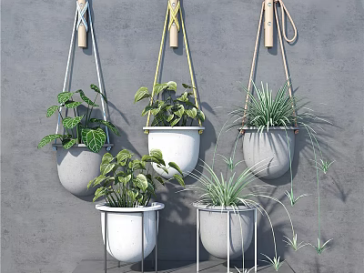 Hanging And Stand Placed Potted Plants With Lush Green Foliage On Gray Wall 3d model
