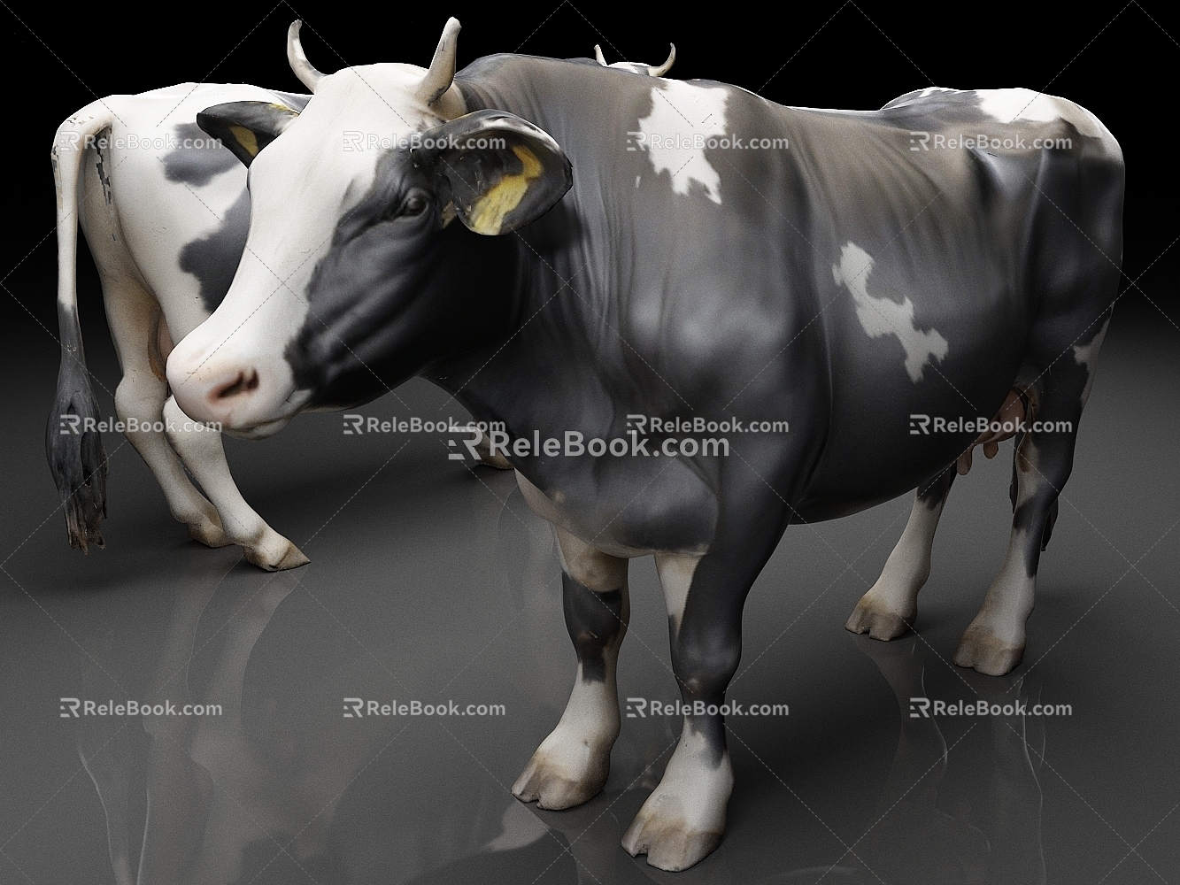 dairy cattle livestock cow 3d model