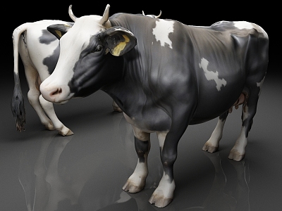 dairy cattle livestock cow 3d model