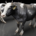 dairy cattle livestock cow 3d model