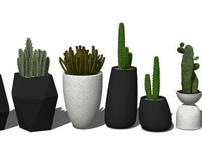Modern Cactus Plants In Geometric And Various Shaped Decorative Pots 3d model