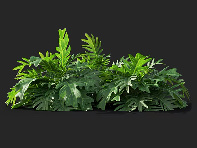 Lush Green Tropical Plants With Large Leaves And Dense Foliage 3d model