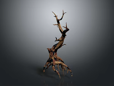 Modern Home Interior Decor with Natural Driftwood Sculpture as Stylish Art Piece 3d model