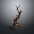 Modern Home Interior Decor with Natural Driftwood Sculpture as Stylish Art Piece