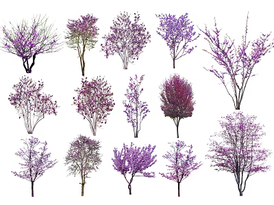 Various Ornamental Trees With Purple Pink Blooms For Garden Decoration 3d model