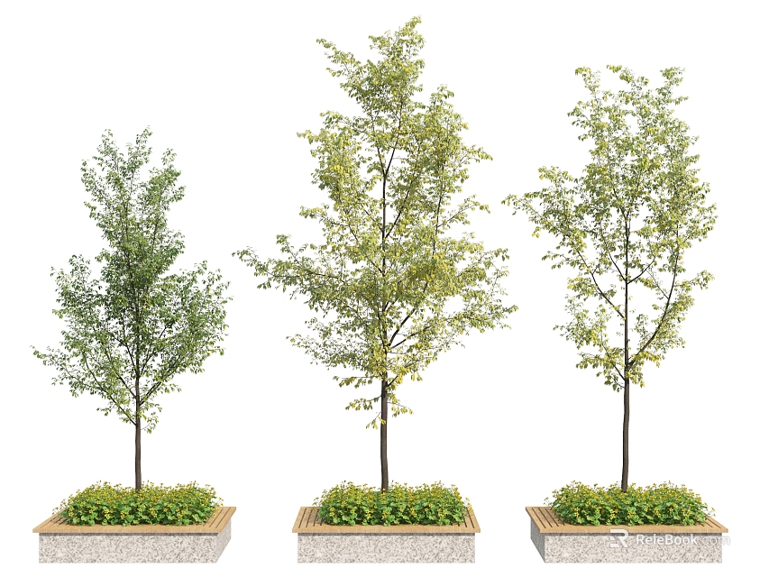 Wooden Tree Planters With Three Trees And Green Plants In Outdoor Garden 3d model 