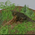 Green Plants And White Small Flowers Growing Around Weathered Tree Stump In Natural Setting
