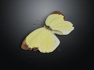 Modern Butterfly Yellow Butterfly Colored Butterfly 3d model