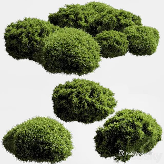 Lush Green Hanging Basket Plants With Round Bushy Foliage For Home Decor 3d model 