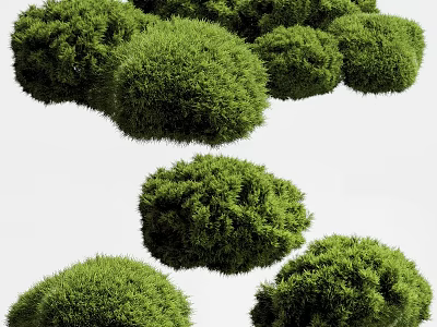 Lush Green Hanging Basket Plants With Round Bushy Foliage For Home Decor 3d model