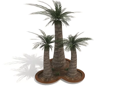 Three Tall Palm Trees with Thick Trunks on Circular Base for Decorative Landscaping 3d model