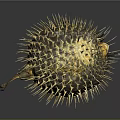 3D Rendered Yellow And Black Pufferfish With Sharp Spines On Dark Background