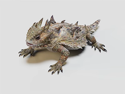 Realistic Spiny Lizard With Detailed Textured Skin And Sharp Spines 3d model