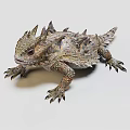 Realistic Spiny Lizard With Detailed Textured Skin And Sharp Spines 3d model