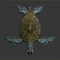 Vibrant Sea Turtle With Brown Patterned Shell And Blue Green Flippers Displaying Intricate Texture 3d model