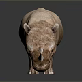 Detailed Brown Textured Rhinoceros Sculpture With Bowed Head On Black Reflective Surface