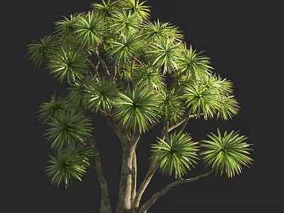 Lush Green Arbor Tree With Tall Trunk And Dense Foliage In Natural Environment 3d model