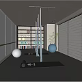 Bright Yoga Room With Exercise Balls Bookshelves Plants And Mirrored Walls
