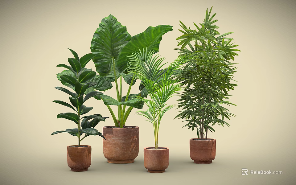 Various Green Plants in Terracotta Pots with Large Leaves and Palm Like Foliage 3d model 
