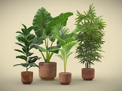Various Green Plants in Terracotta Pots with Large Leaves and Palm Like Foliage 3d model