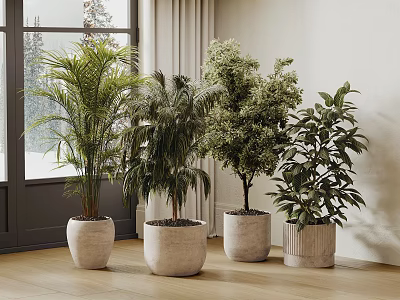 Various Types Of Indoor Potted Plants In White Planters For Living Room With Window 3d model