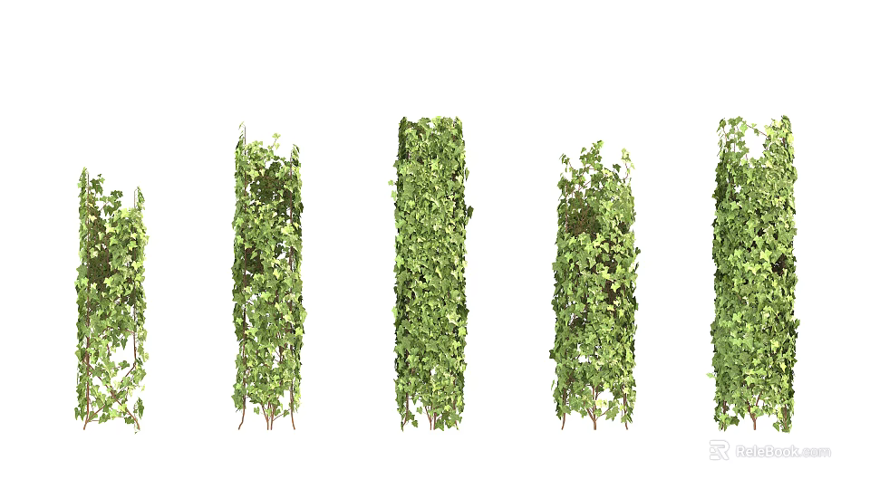 Decorative Green Vines With Various Climbing Plant Designs For Garden Decoration 3d model 