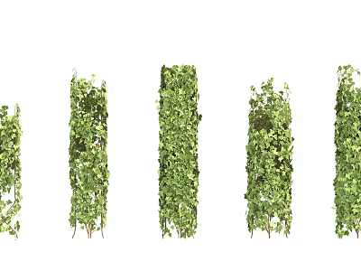 Decorative Green Vines With Various Climbing Plant Designs For Garden Decoration 3d model