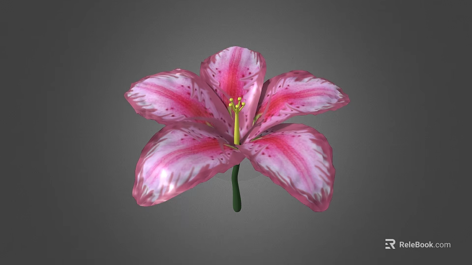 Pink Lily Flower With White Stripes And Green Stem On Gray Background 3d model 