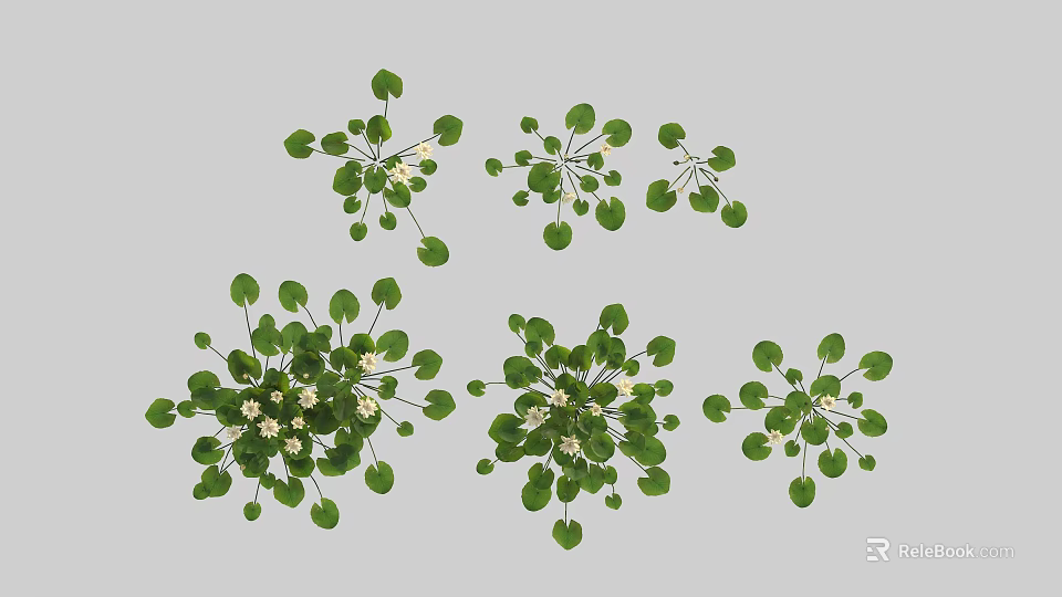 Beautiful Floral Vase Arrangement With Green Leaves And White Small Flowers Decorative Design 3d model 