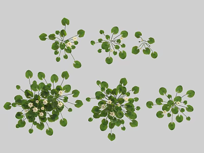 Beautiful Floral Vase Arrangement With Green Leaves And White Small Flowers Decorative Design 3d model