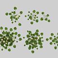 Beautiful Floral Vase Arrangement With Green Leaves And White Small Flowers Decorative Design