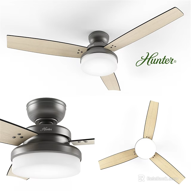 Hunter Ceiling Fan With Wooden Blades And White Light For Home Use 3d model 