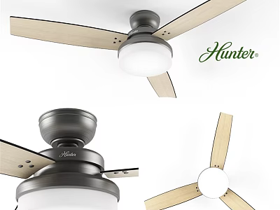 Hunter Ceiling Fan With Wooden Blades And White Light For Home Use 3d model