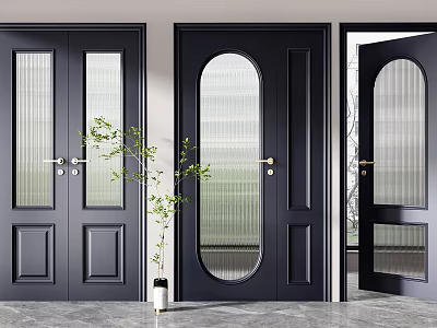 Black Swing Doors with Arched Glass Panels and Indoor Green Plant Decoration 3d model