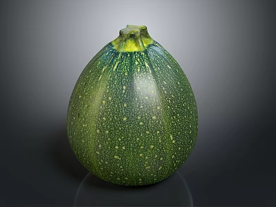 Green Round Zucchini with White Spots and Yellow Stem on Dark Background 3d model