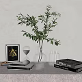 Home Decor Ornament Set with Green Foliage Clear Vase Hourglass Triangle Frame Stacked Books