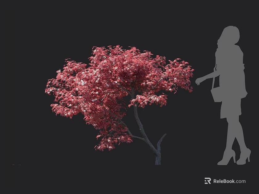 Vibrant Red Leaf Arbor Featuring Female Silhouette in Outdoor Scene 3d model 