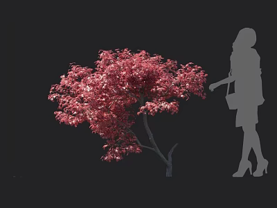 Vibrant Red Leaf Arbor Featuring Female Silhouette in Outdoor Scene 3d model