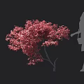 Vibrant Red Leaf Arbor Featuring Female Silhouette in Outdoor Scene