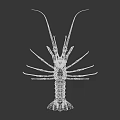 Detailed Reddish Brown Lobster With Long Antennae And Sharp Claws On White Background