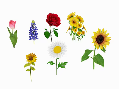 Colorful Flowers Collection with Pink Tulip Purple Lupine Red Rose Sunflowers and Green Leaves 3d model