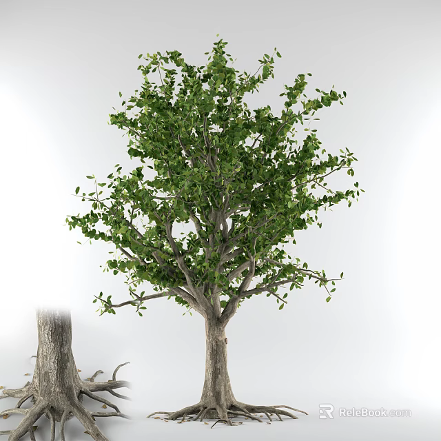 Lush Green Arbor With Thick Trunk Dense Branches And Vibrant Leaves 3d model 