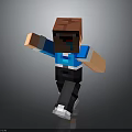 The picture mainly shows a Minecraft-style character and does not contain key information about furniture, so it is impossible to generate an English title with "furniture" as the main body in line with the requirements.