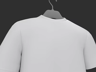 Stylish Hanger With White T-shirt For Modern Wardrobe Display And Organization 3d model