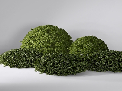 turtle bush ball model