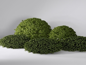 turtle bush ball 3d model