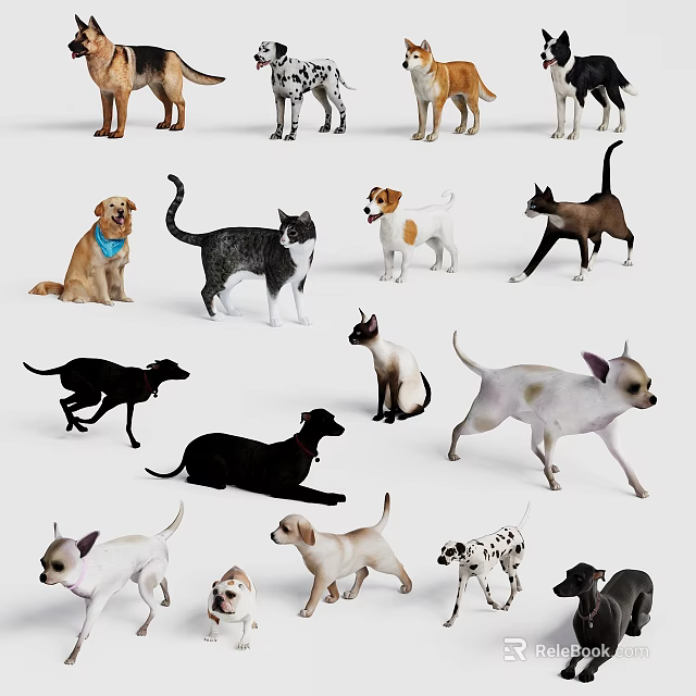 Cute Dogs and Cats of Various Breeds in Playful and Relaxed Poses 3d model 